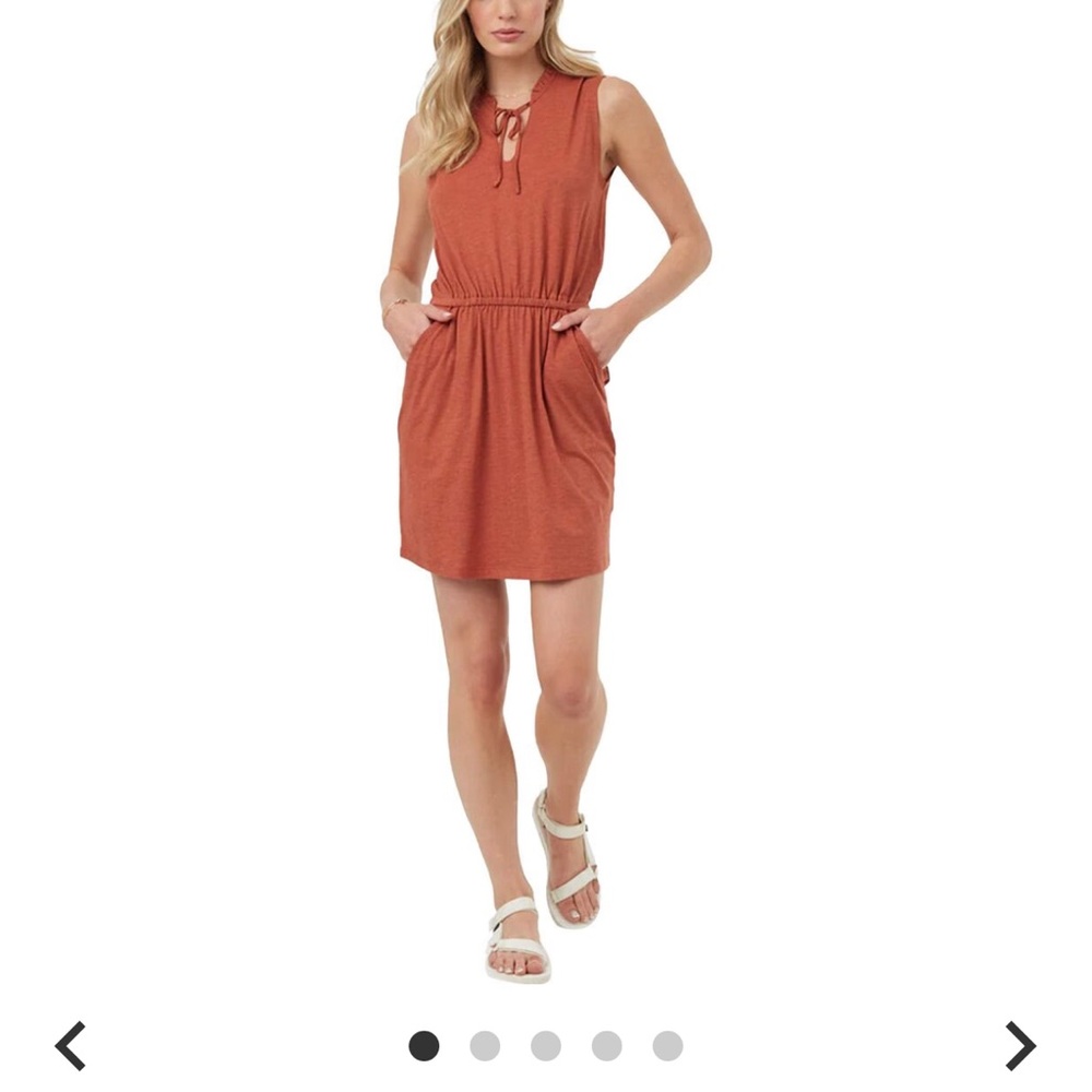 Tentree Terracotta Sleeveless Midi Arden Dress